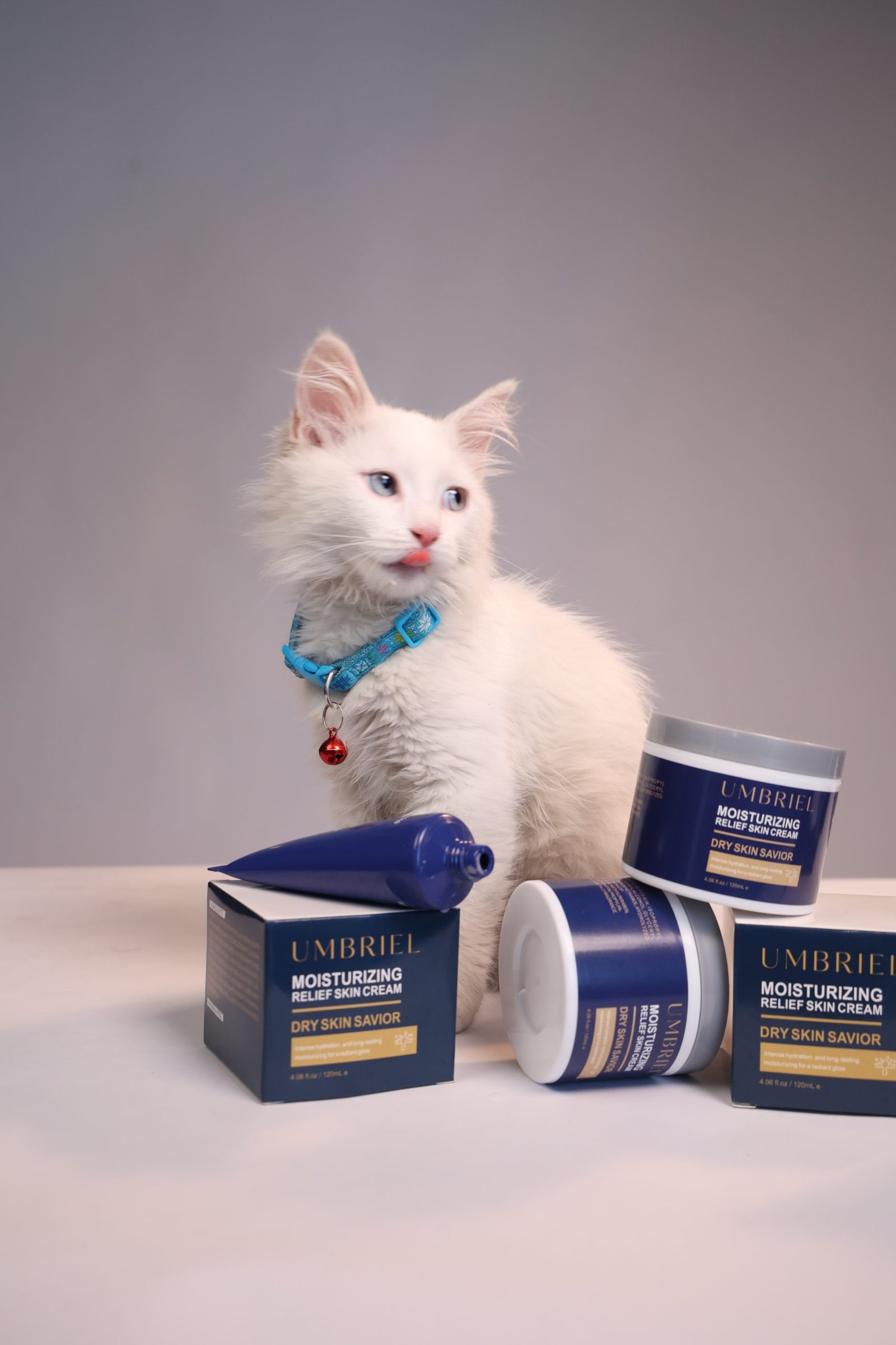 صورة جديدة 2